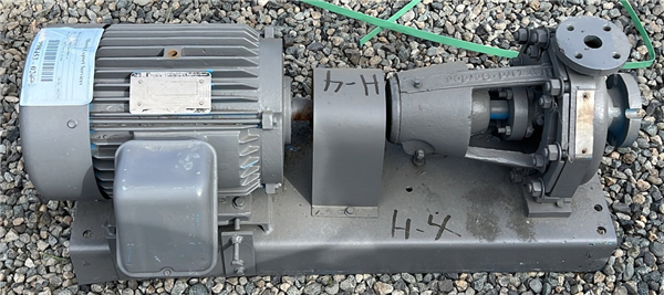 HAYWARD GORDON Pump, 60ft Head with 10 HP Motor
